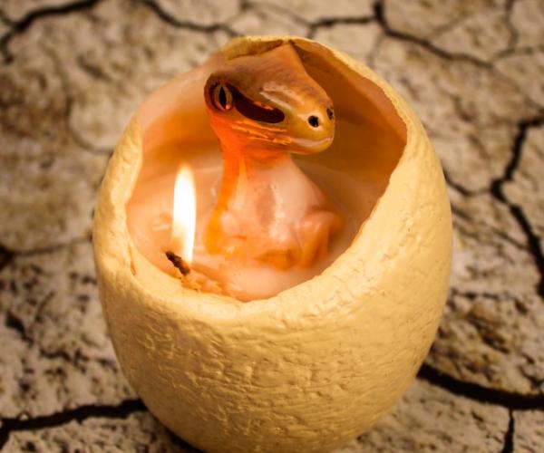 Hatching Dinosaur Egg Candle
